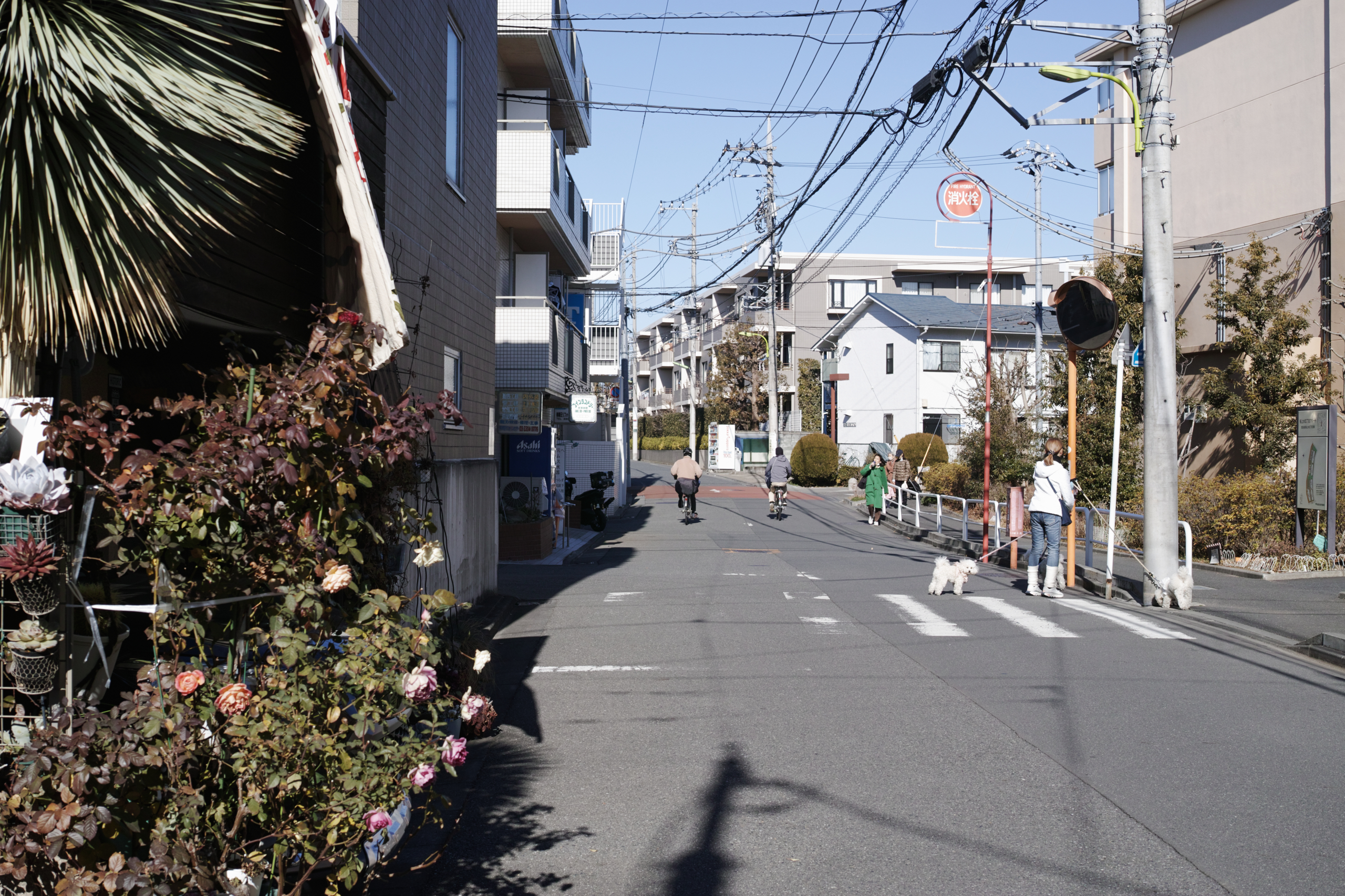 Chitose-Karasuyama, Nakano-Fujimicho_Img