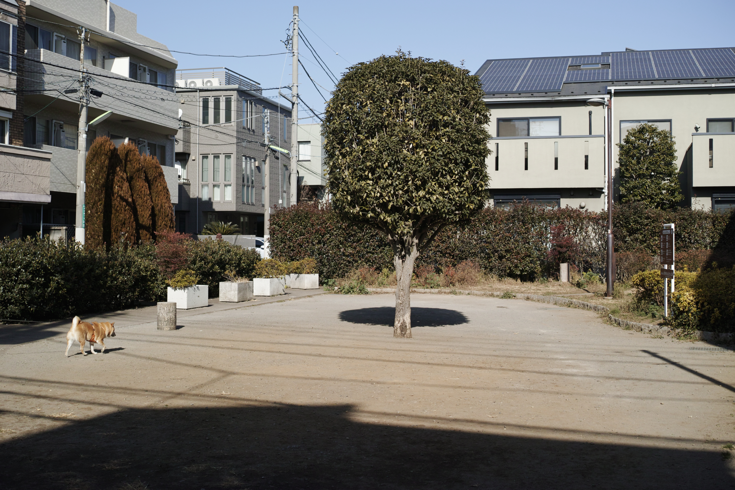 Gotokuji, Shimo-Kitazawa, Yoyogi-Hachiman_Img