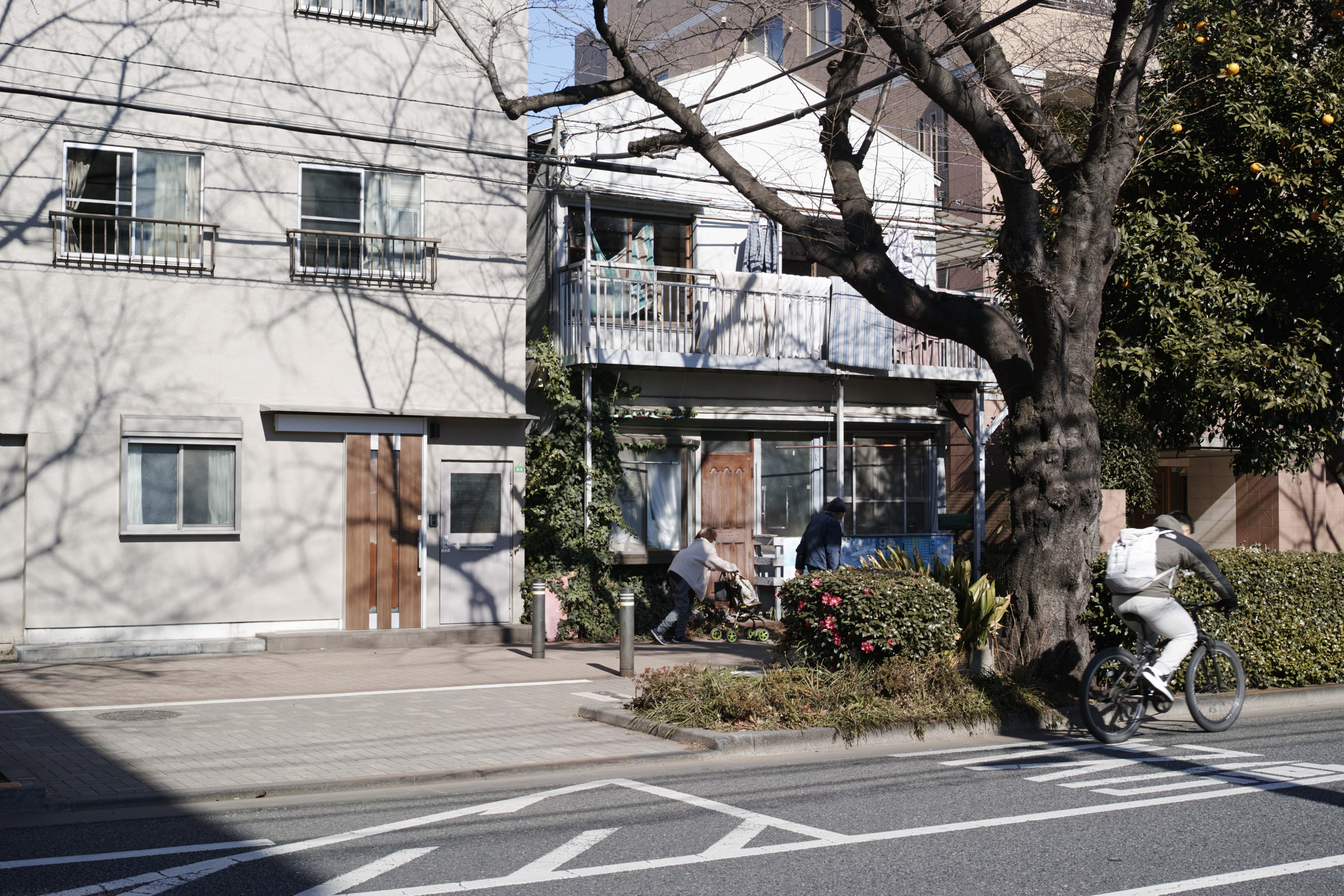 Nerima, Tokiwadai, Oyama, Ikebukuro_Img