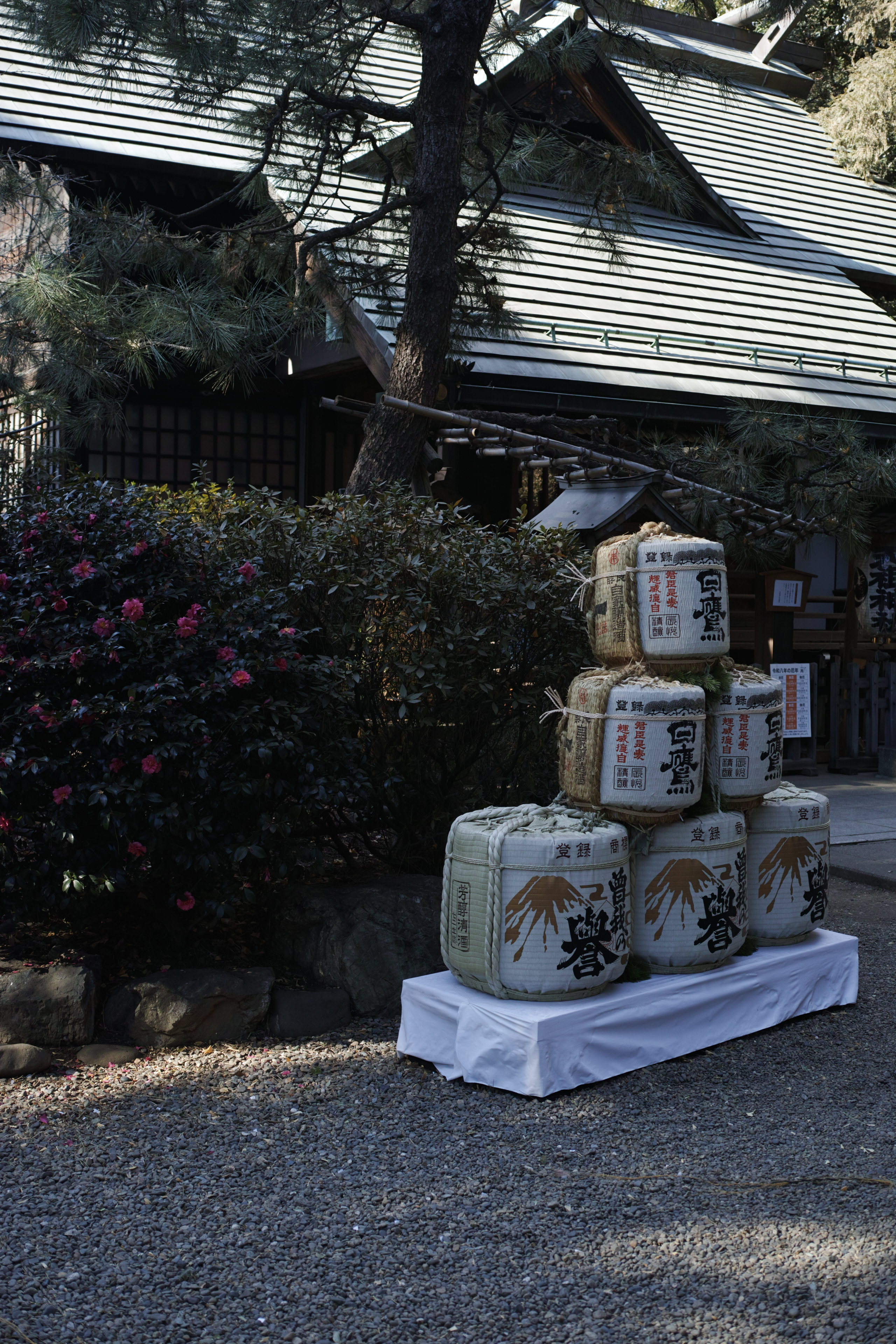 Nerima, Tokiwadai, Oyama, Ikebukuro_Img