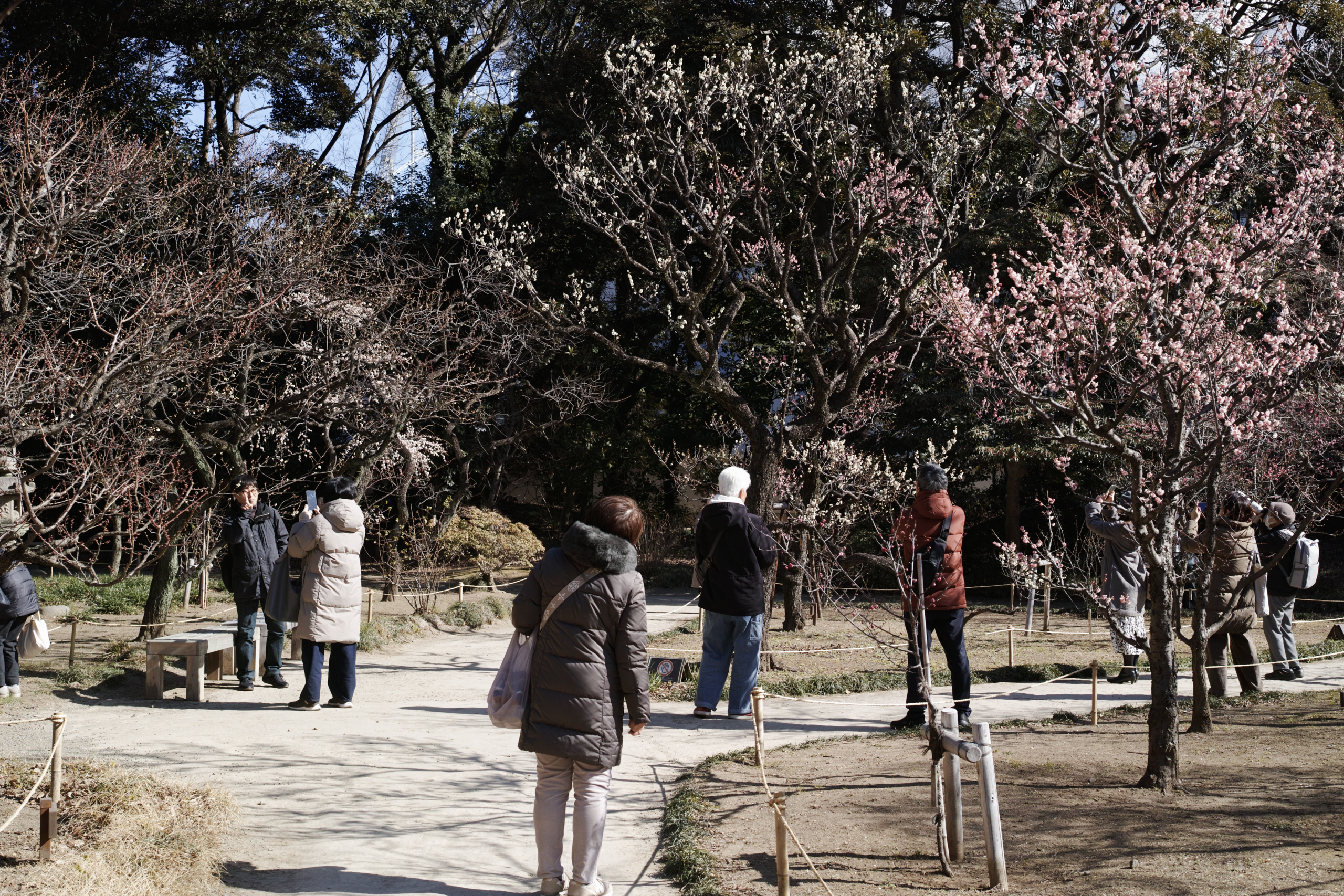Jimbocho, Suidobashi, Shinjuku, Okubo_Img