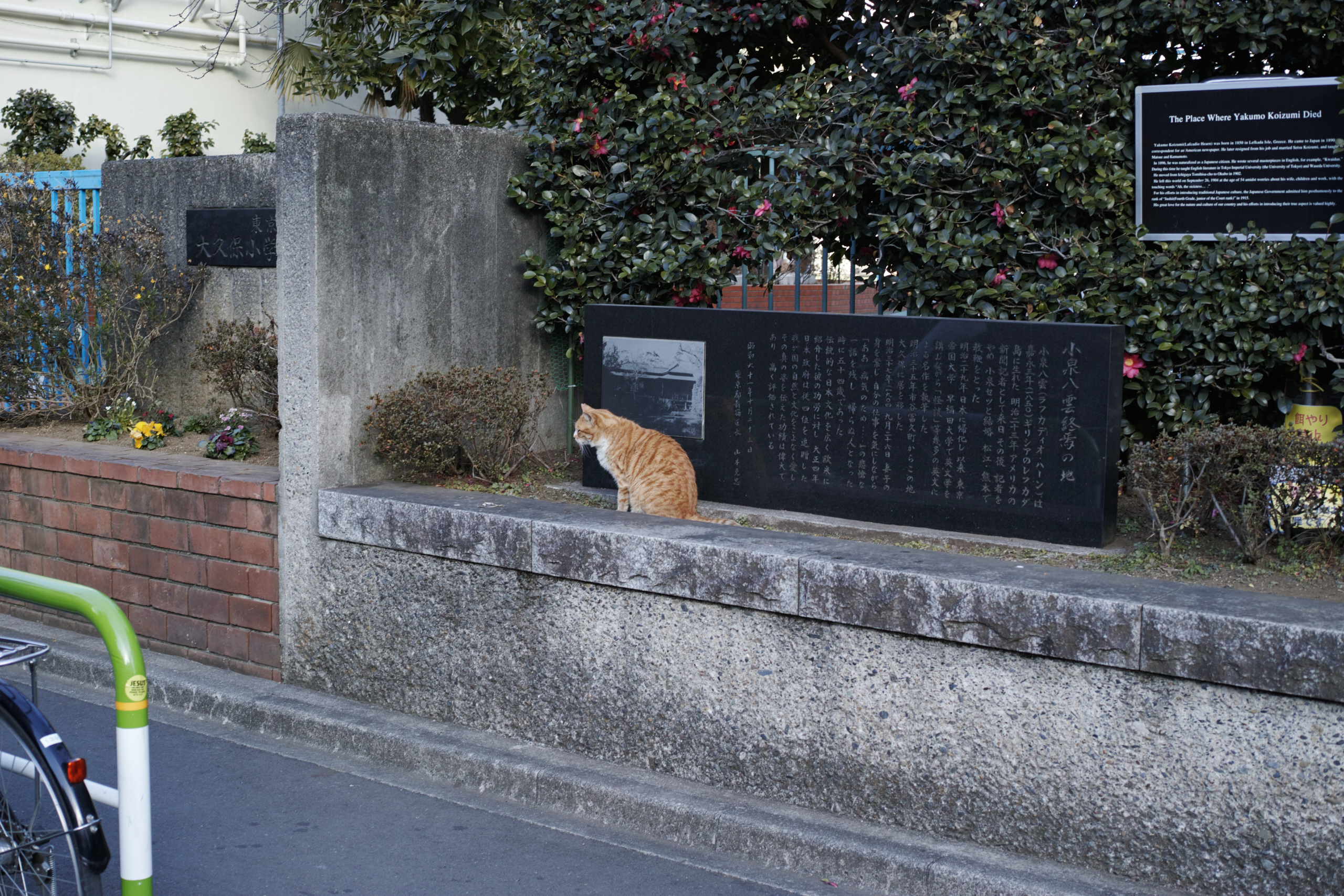 Jimbocho, Suidobashi, Shinjuku, Okubo_Img