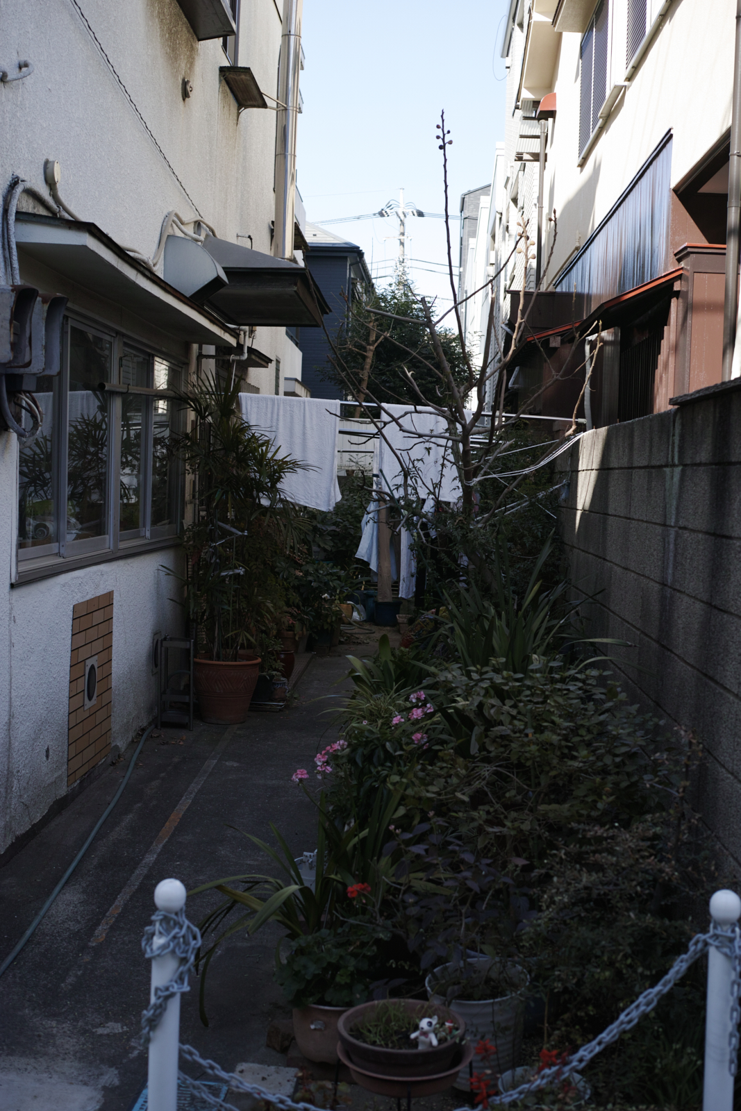 Gotokuji, Shimo-Kitazawa, Yoyogi-Hachiman_Img