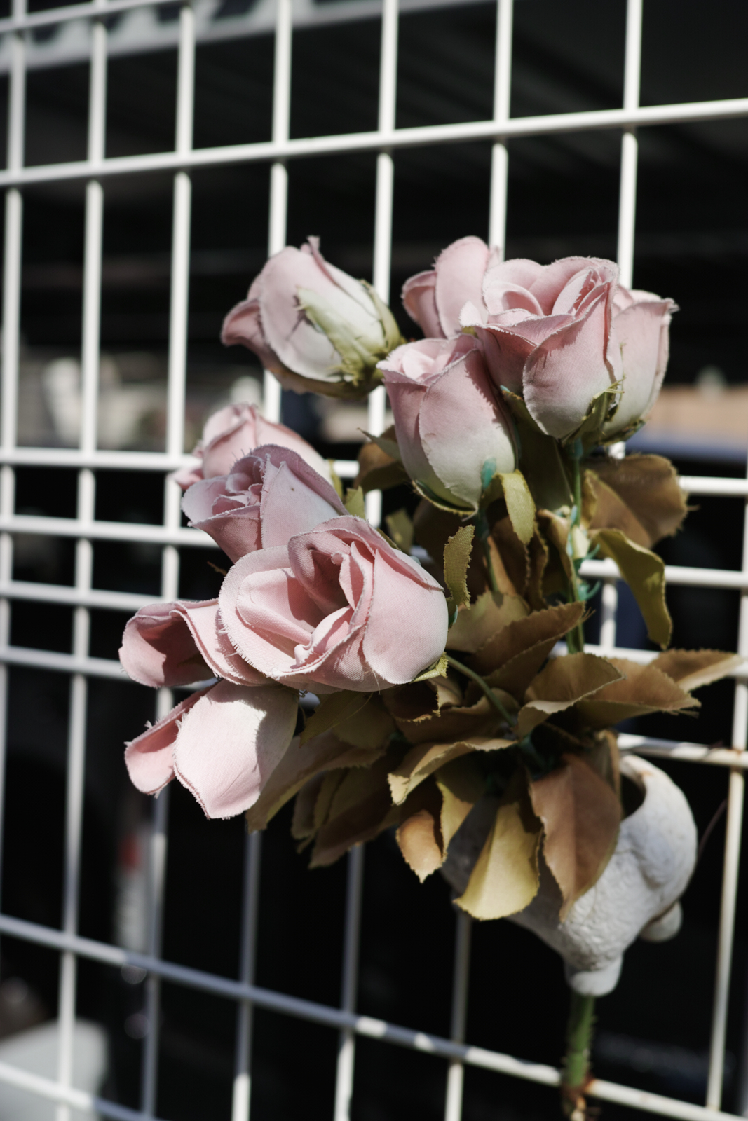 Akabane, Omiya, Shinjuku_Img