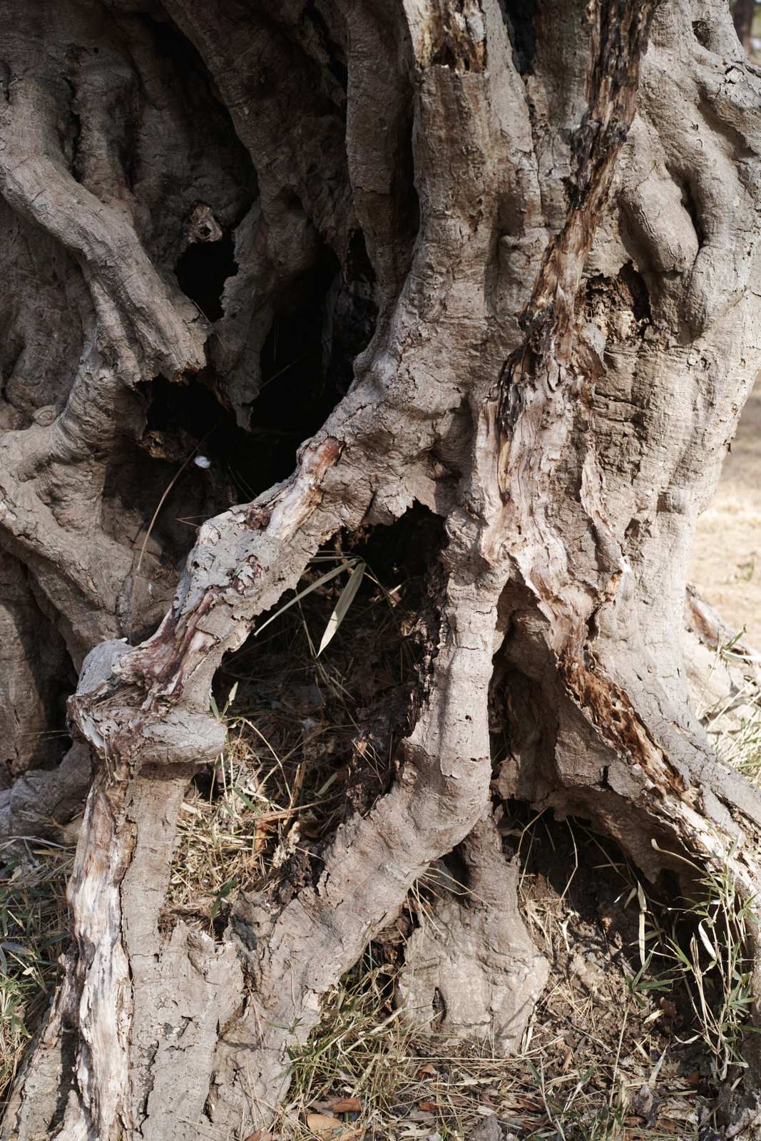 Akabane, Omiya, Shinjuku_Img