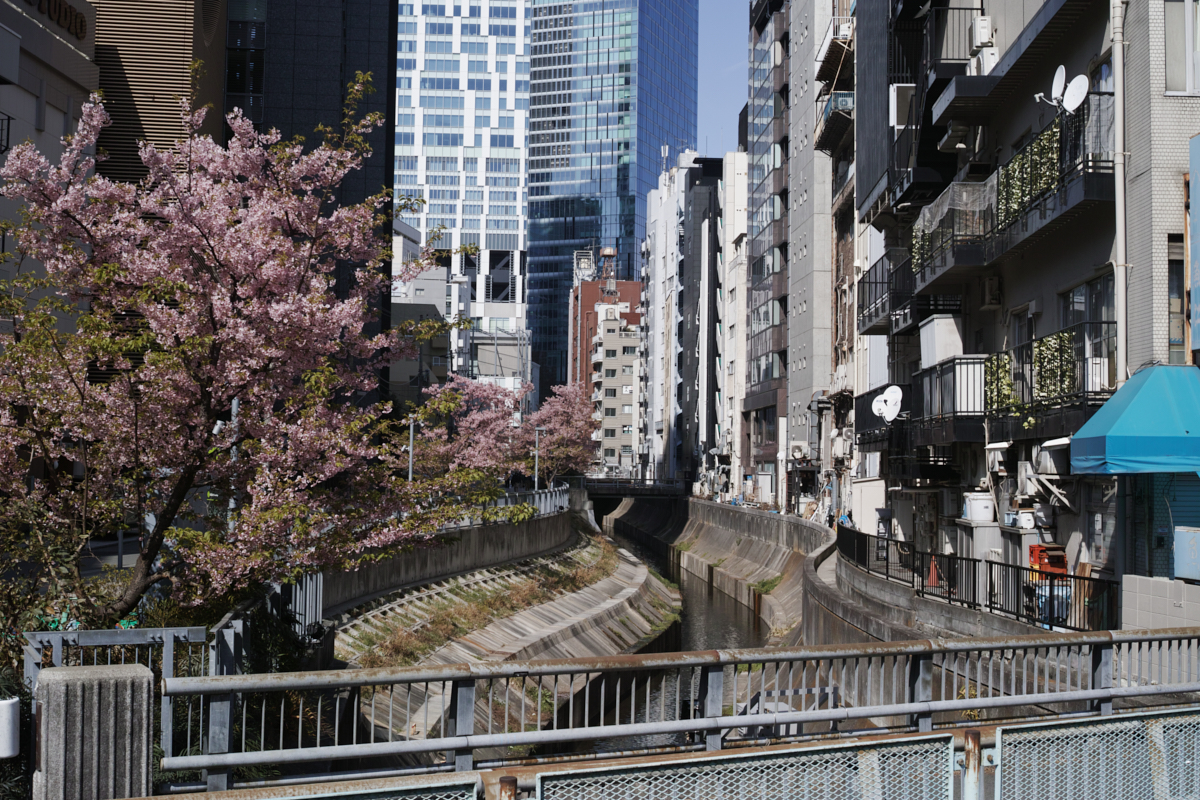 Yoyogi, Hiroo, Akasaka, Marunouchi etc_Img