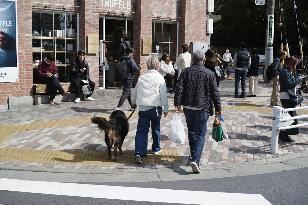 Yoyogi, Hiroo, Akasaka, Marunouchi etc_Img