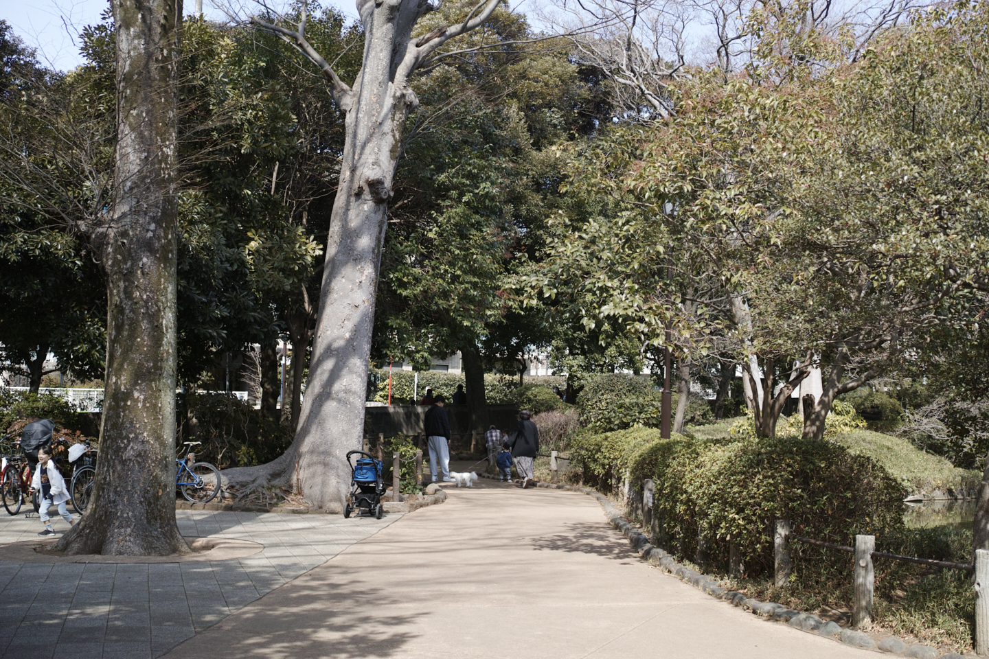 Yoyogi, Hiroo, Akasaka, Marunouchi etc_Img