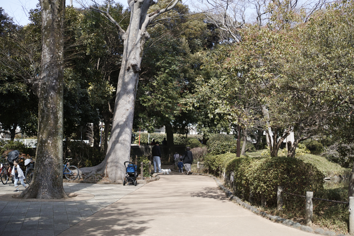 Yoyogi, Hiroo, Akasaka, Marunouchi etc_Img