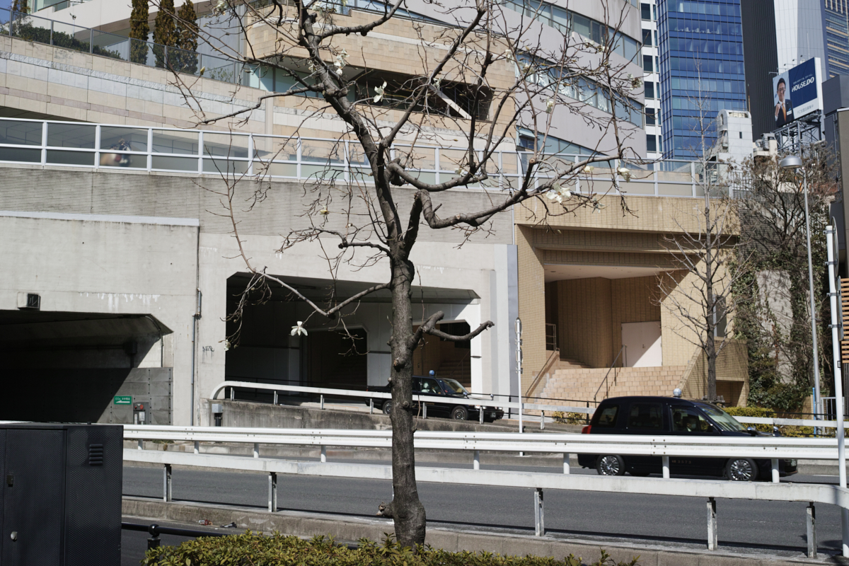 Yoyogi, Hiroo, Akasaka, Marunouchi etc_Img