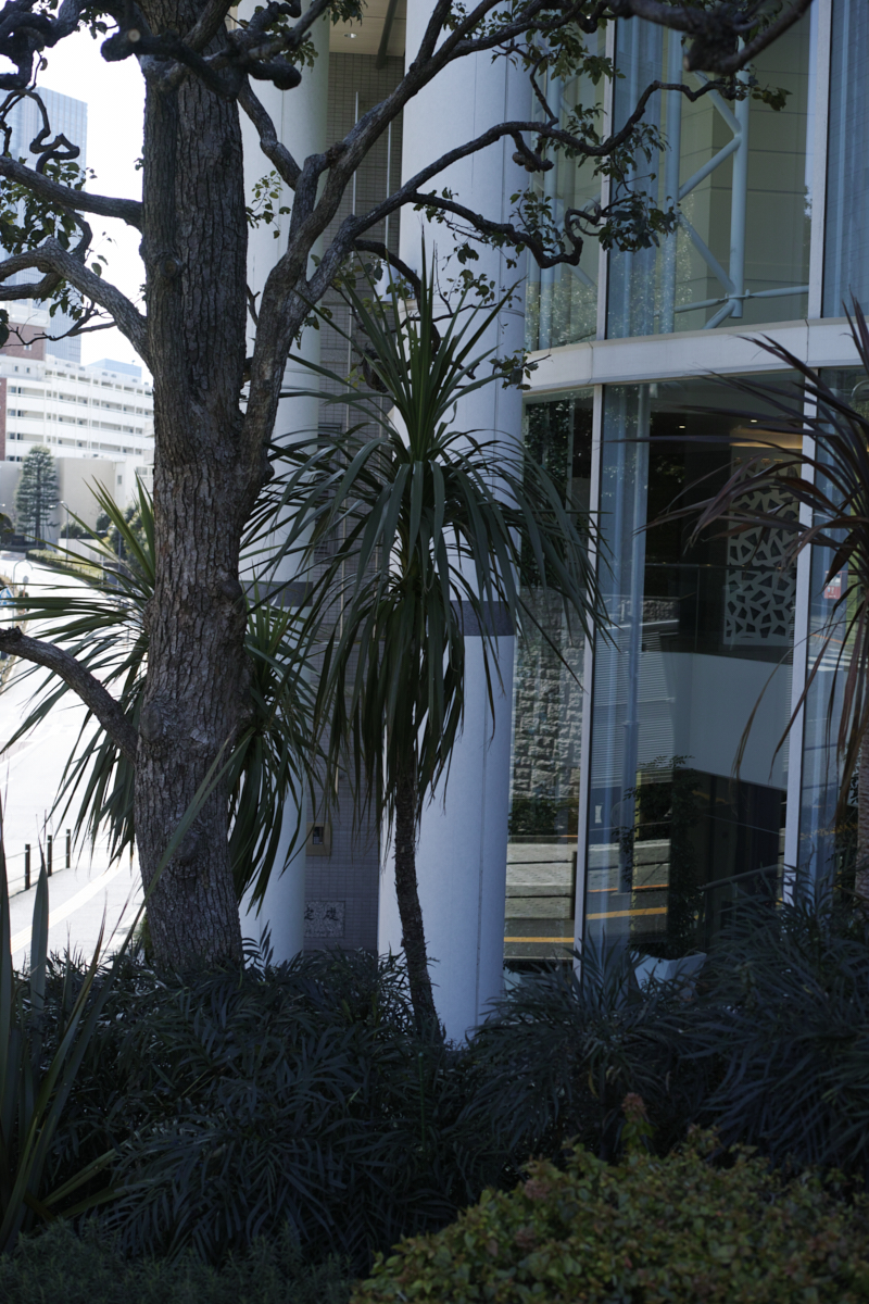 Yoyogi, Hiroo, Akasaka, Marunouchi etc_Img