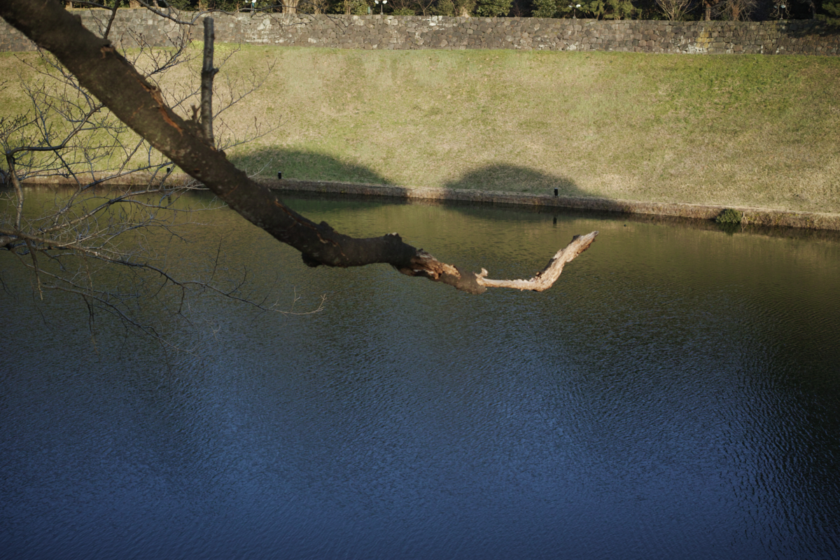 Yoyogi, Hiroo, Akasaka, Marunouchi etc_Img