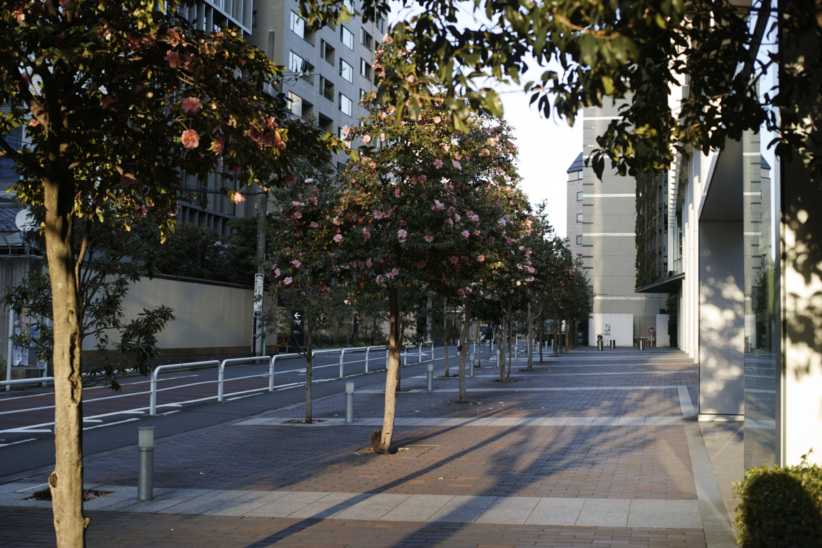 Yoyogi, Hiroo, Akasaka, Marunouchi etc_Img