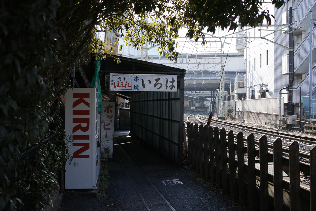 Mizonokuchi, Futako-Tamagawa, Hanegi_Img