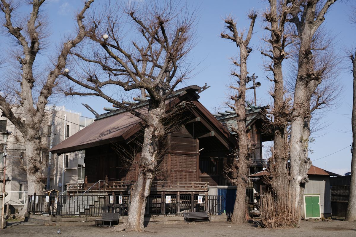 Mizonokuchi, Futako-Tamagawa, Hanegi_Img