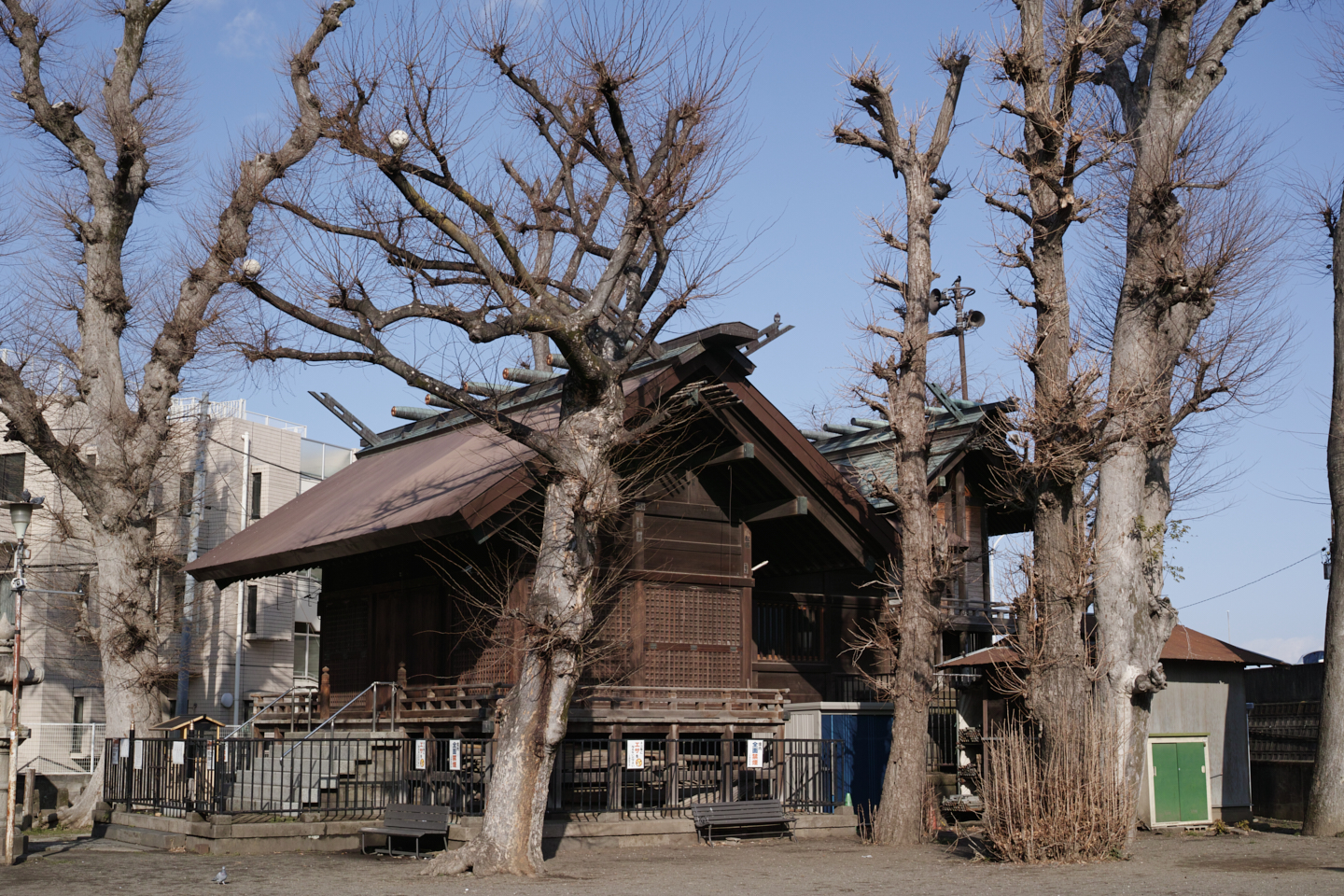 Mizonokuchi, Futako-Tamagawa, Hanegi_Img