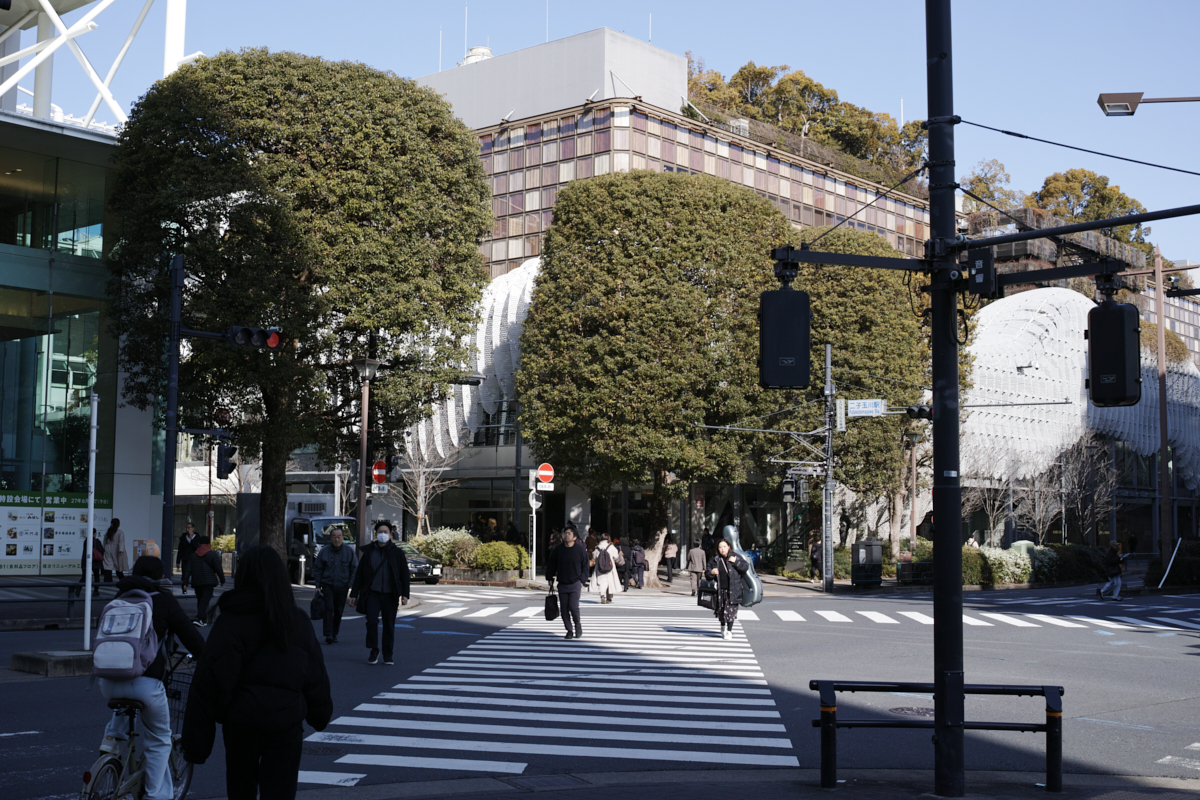 Mizonokuchi, Futako-Tamagawa, Hanegi_Img