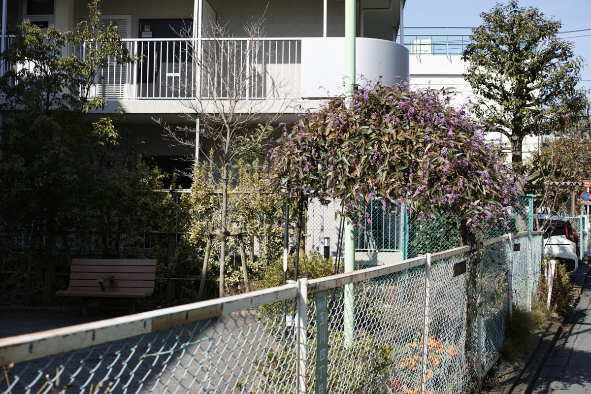 Mizonokuchi, Futako-Tamagawa, Hanegi_Img