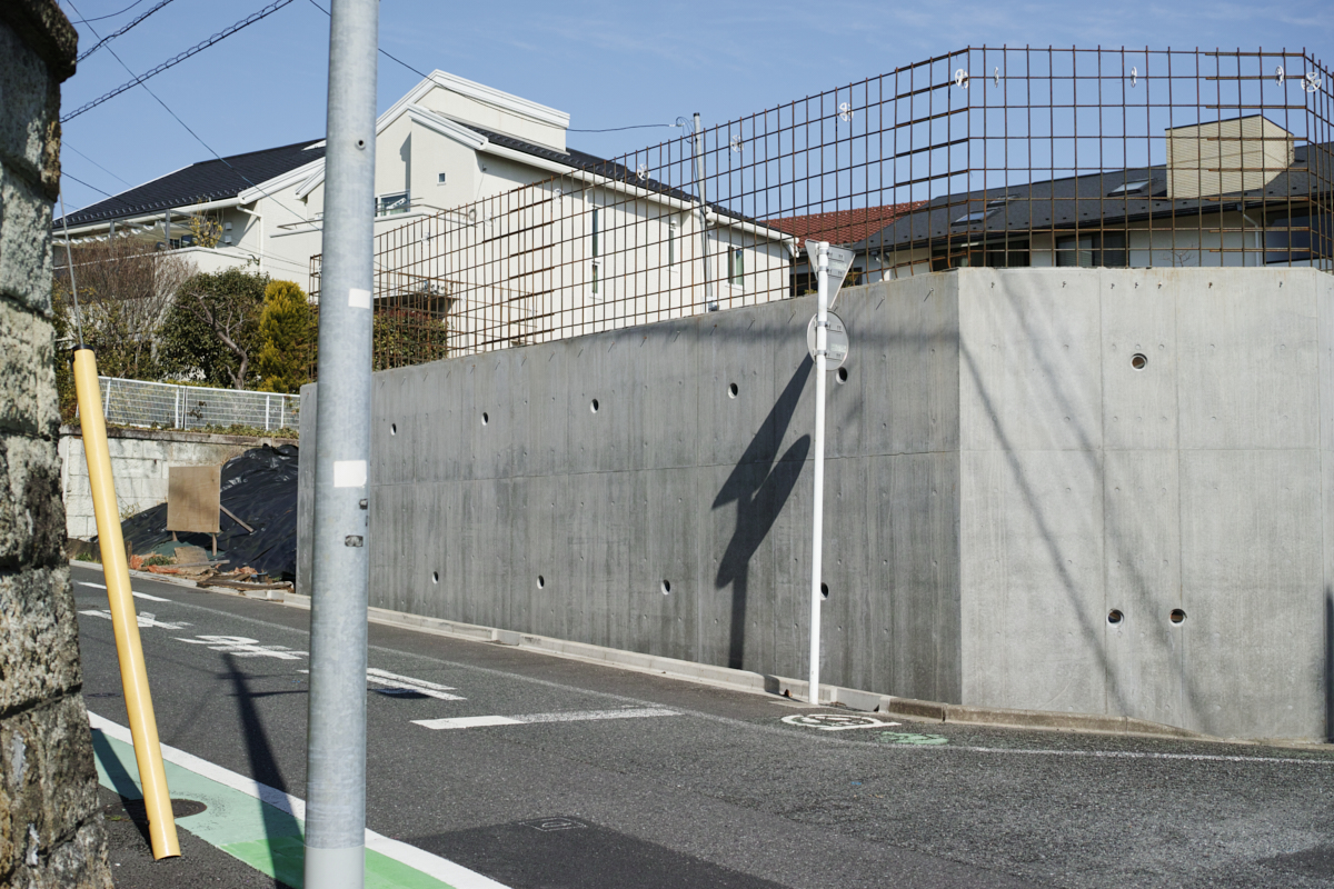 Mizonokuchi, Futako-Tamagawa, Hanegi_Img