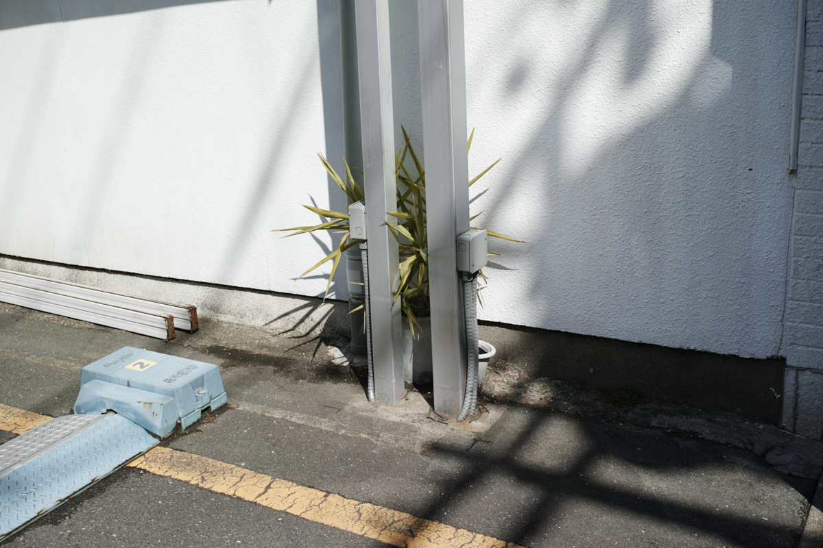 Mizonokuchi, Futako-Tamagawa, Hanegi_Img