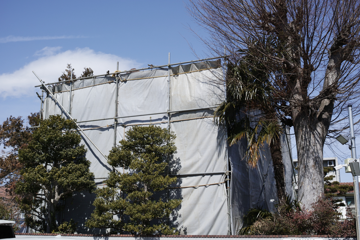 Mizonokuchi, Futako-Tamagawa, Hanegi_Img