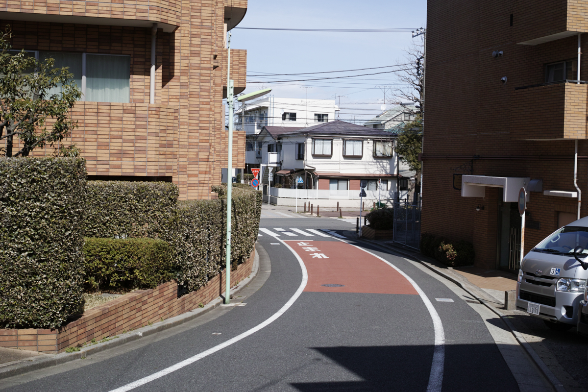 Mizonokuchi, Futako-Tamagawa, Hanegi_Img