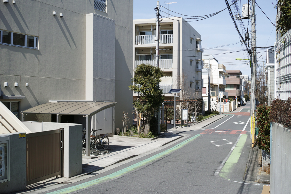 Mizonokuchi, Futako-Tamagawa, Hanegi_Img