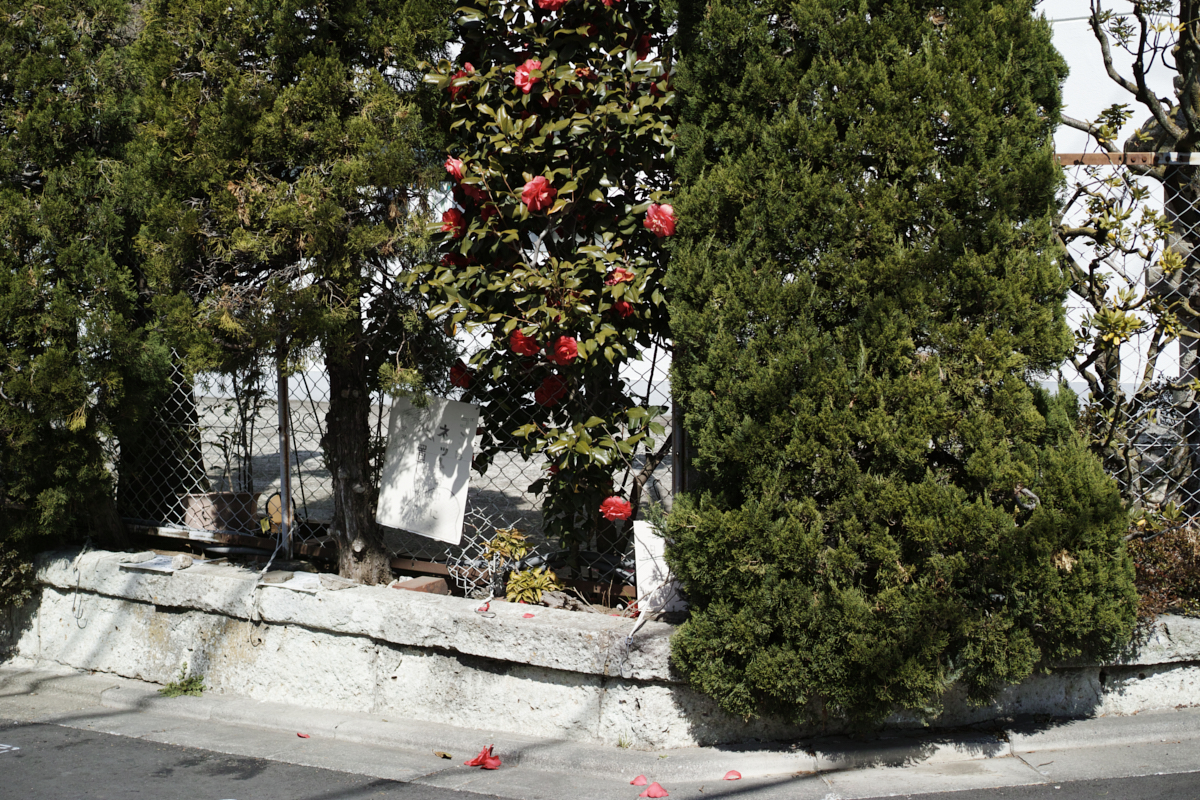 Mizonokuchi, Futako-Tamagawa, Hanegi_Img