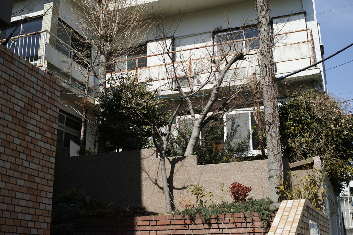 Mizonokuchi, Futako-Tamagawa, Hanegi_Img