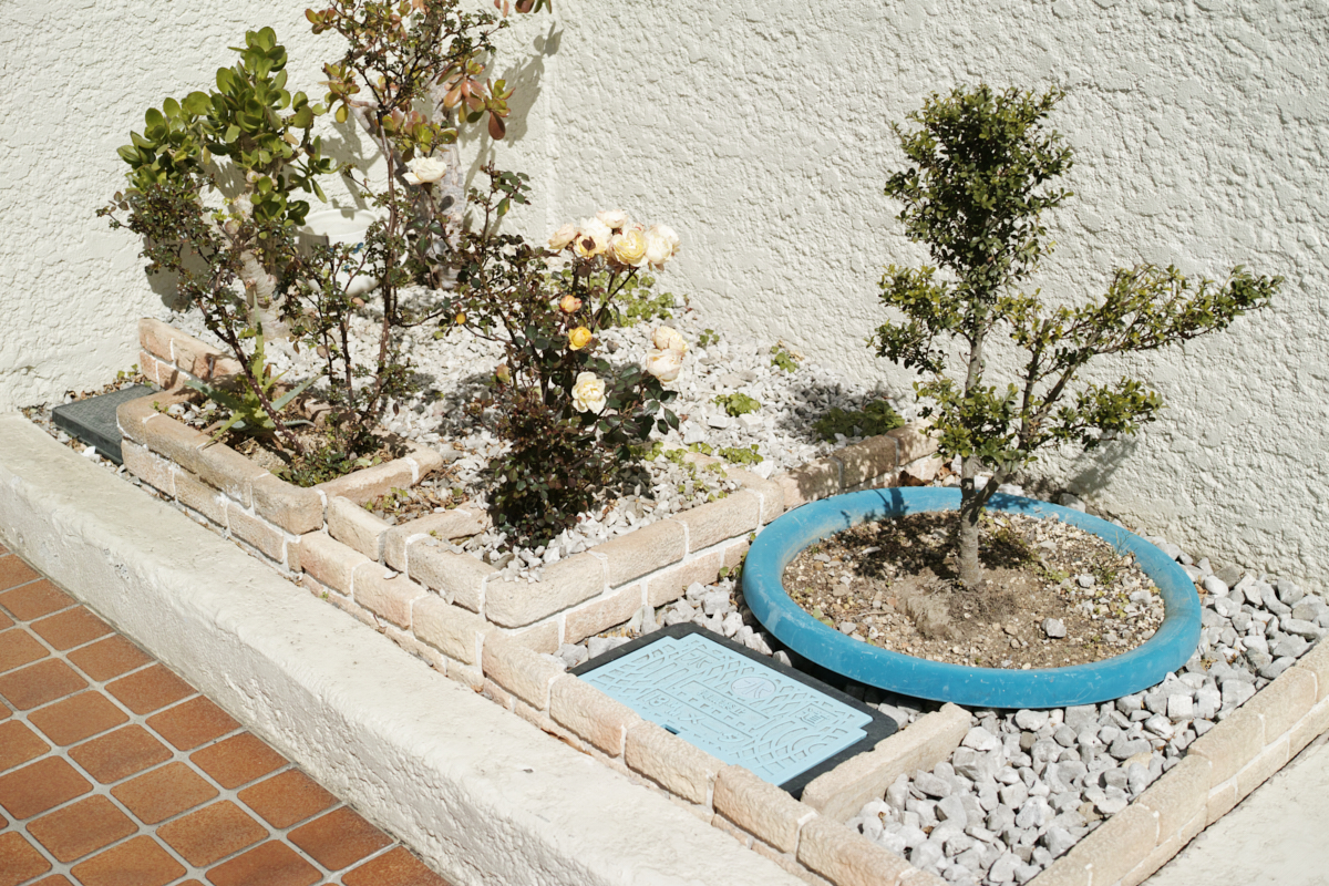 Mizonokuchi, Futako-Tamagawa, Hanegi_Img