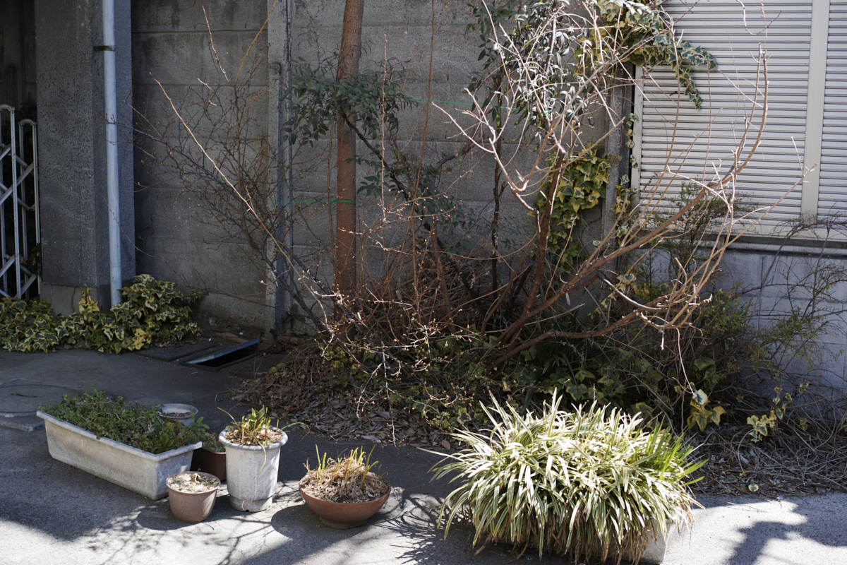 Nakano-Sakaue, Shinjuku, Shibuya, Ebisu_Img