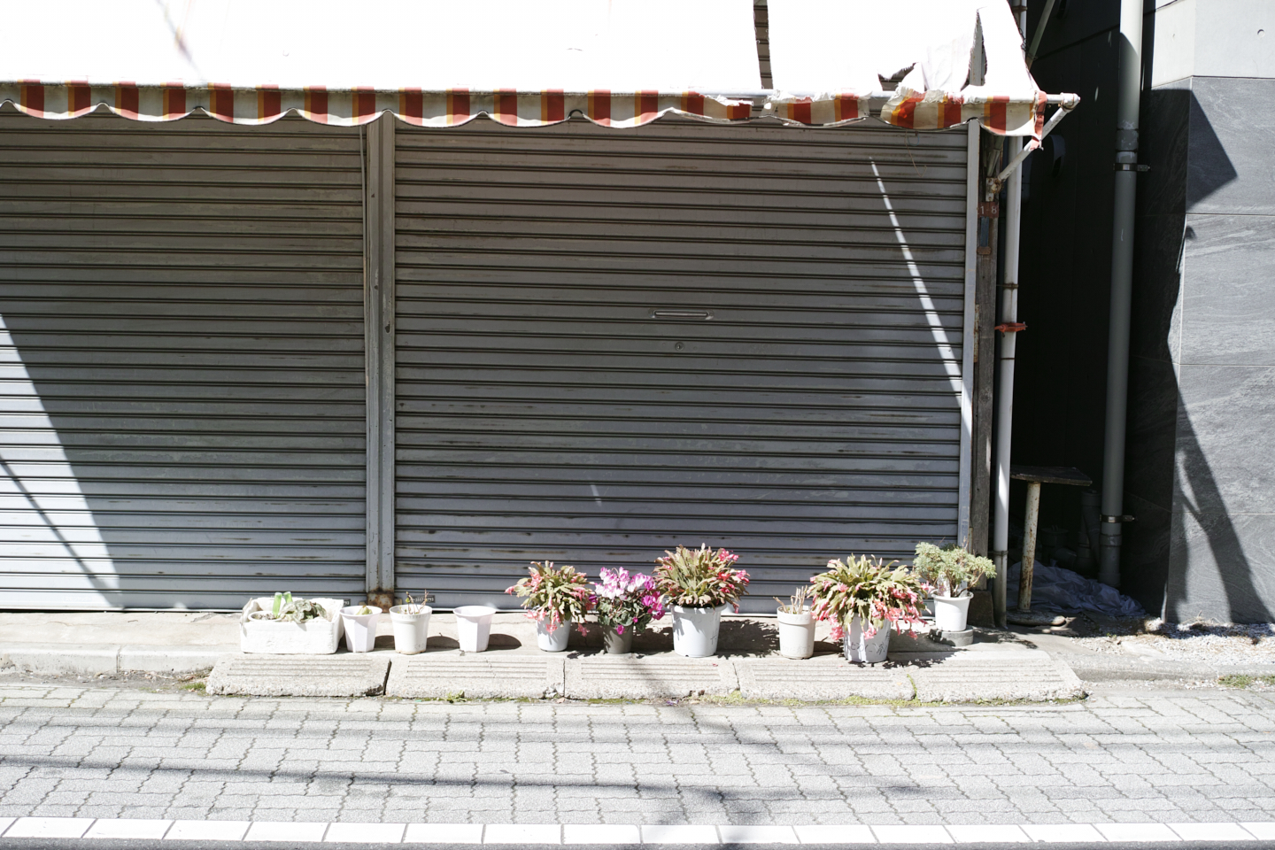 Nakano-Sakaue, Shinjuku, Shibuya, Ebisu_Img