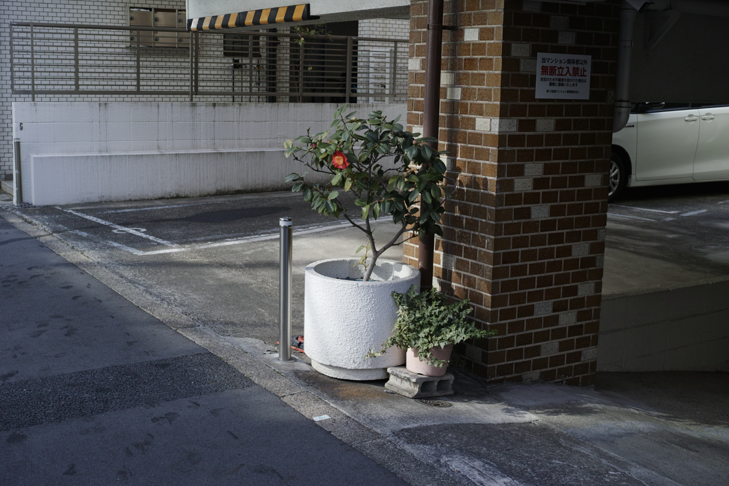 Nakano-Sakaue, Shinjuku, Shibuya, Ebisu_Img