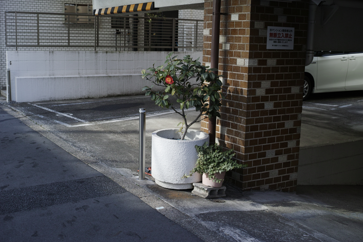 Nakano-Sakaue, Shinjuku, Shibuya, Ebisu_Img