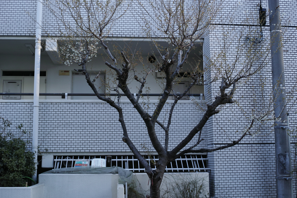 Nakano-Sakaue, Shinjuku, Shibuya, Ebisu_Img