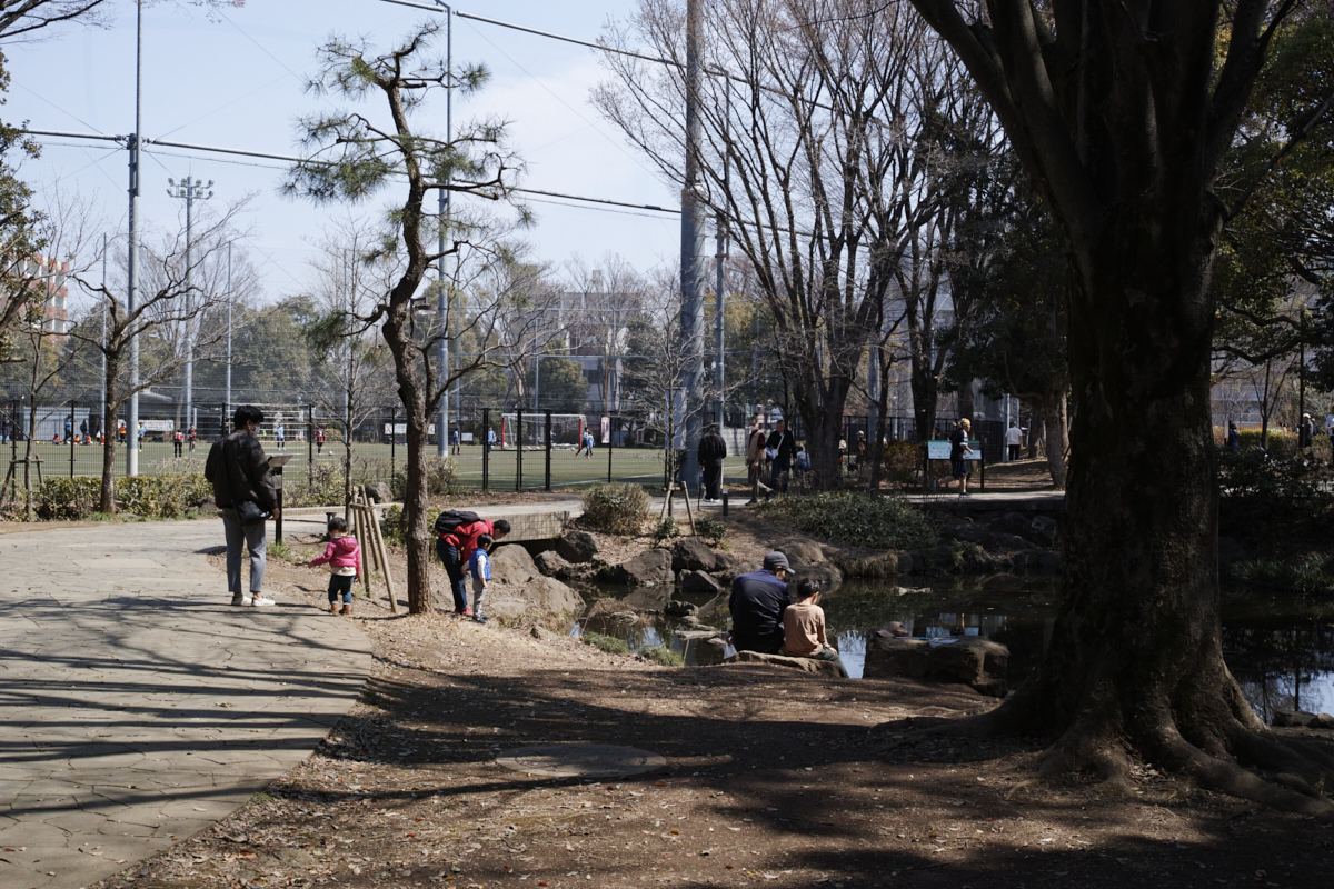 Numabukuro, Ochiai, Gokokuji_Img