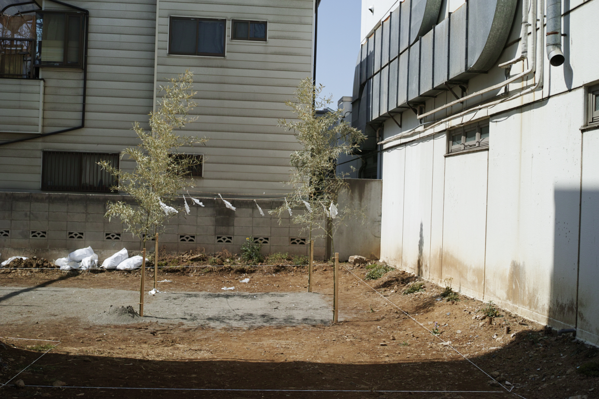 Numabukuro, Ochiai, Gokokuji_Img