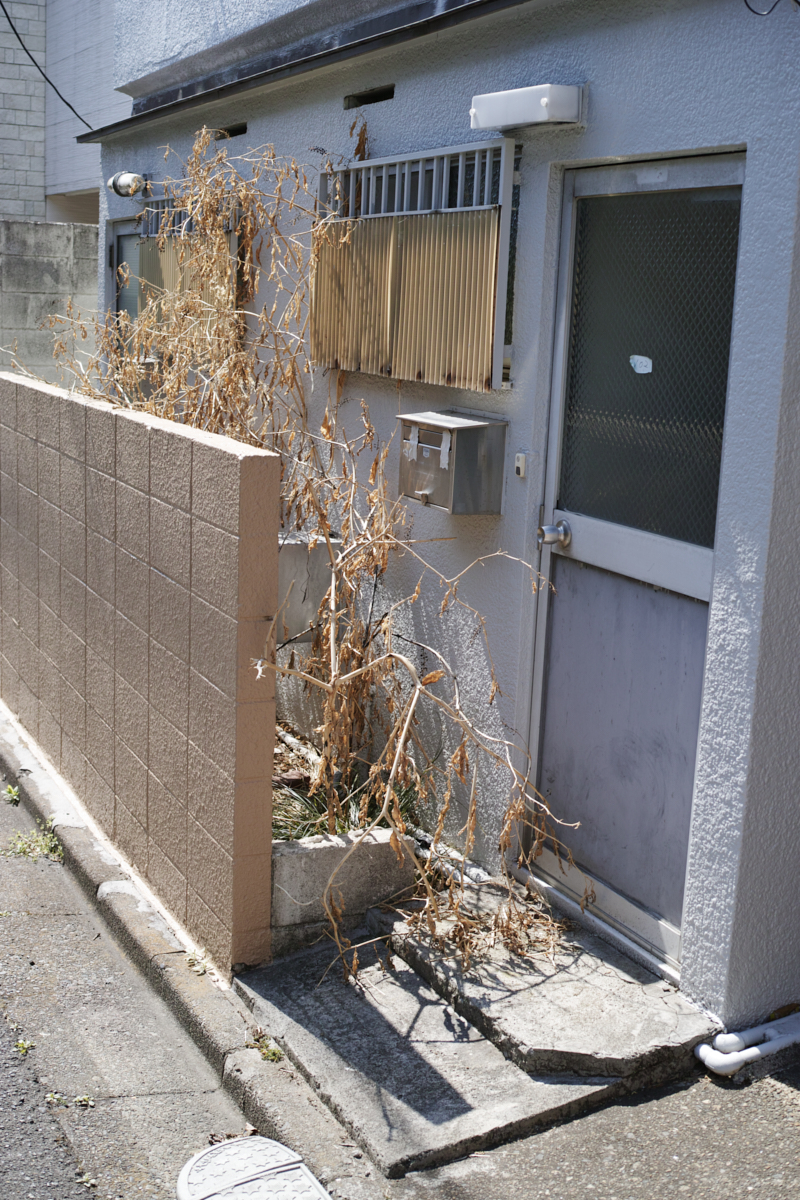 Numabukuro, Ochiai, Gokokuji_Img