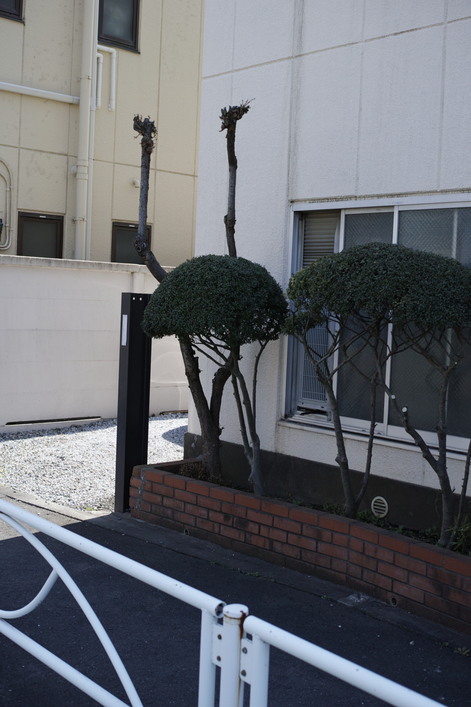 Numabukuro, Ochiai, Gokokuji_Img