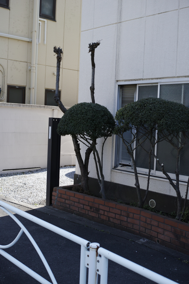 Numabukuro, Ochiai, Gokokuji_Img