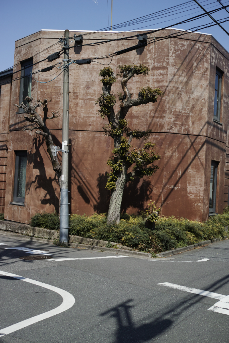 Numabukuro, Ochiai, Gokokuji_Img