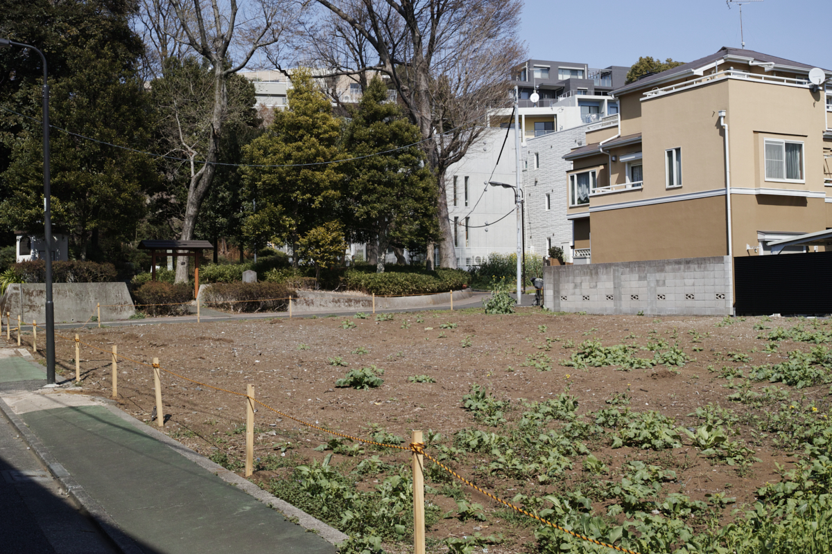 Numabukuro, Ochiai, Gokokuji_Img