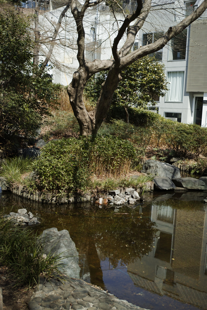 Numabukuro, Ochiai, Gokokuji_Img