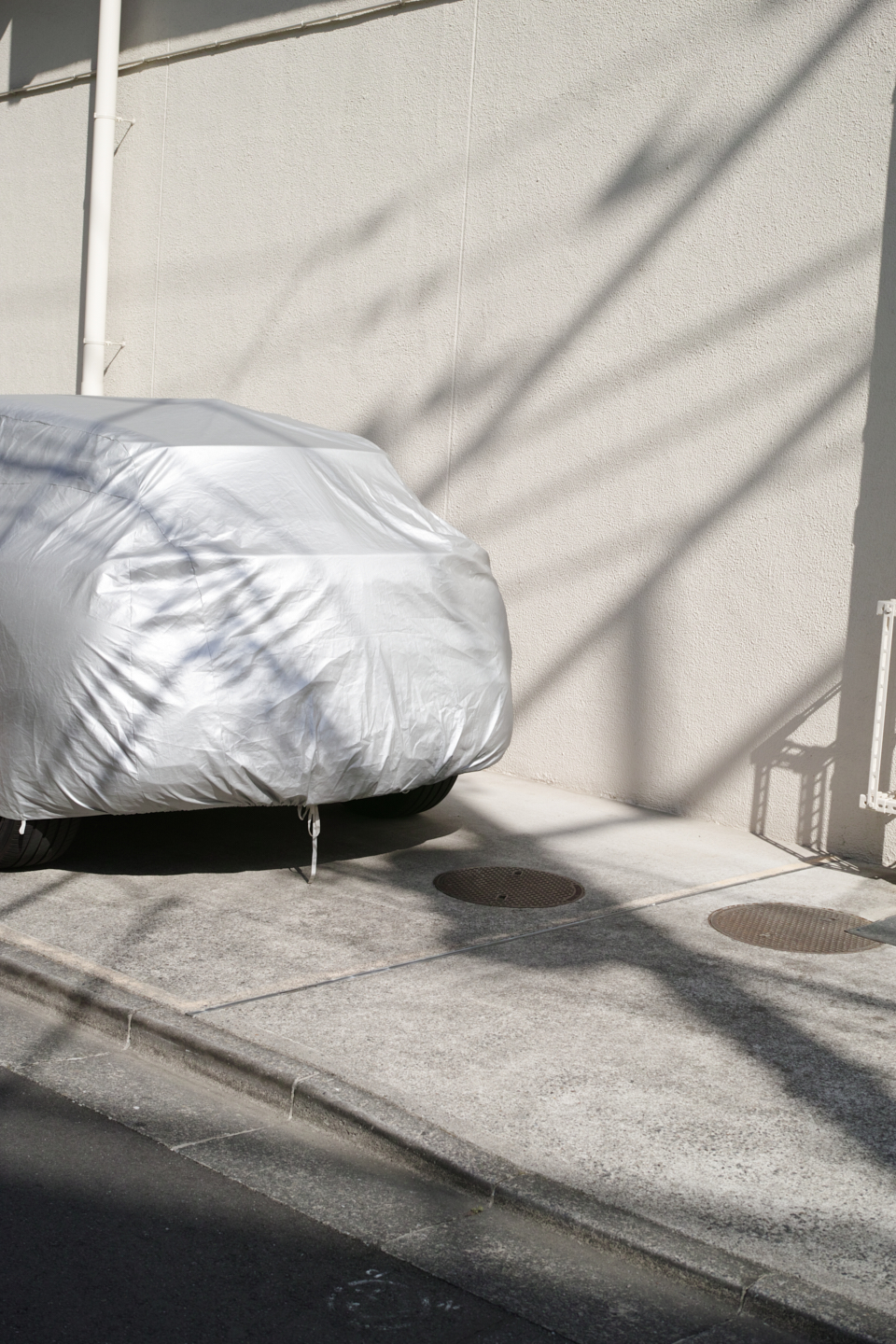 Numabukuro, Ochiai, Gokokuji_Img