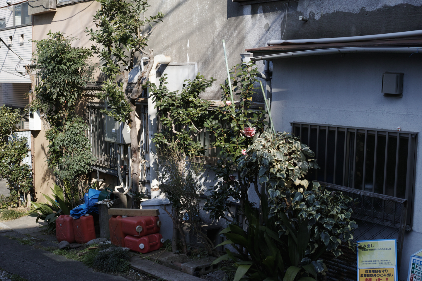 Numabukuro, Ochiai, Gokokuji_Img