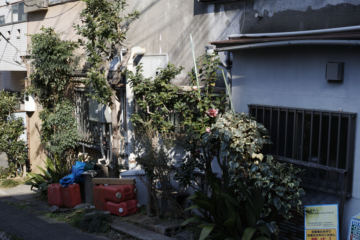 Numabukuro, Ochiai, Gokokuji_Img