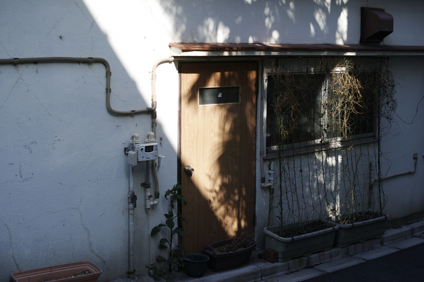 Numabukuro, Ochiai, Gokokuji_Img