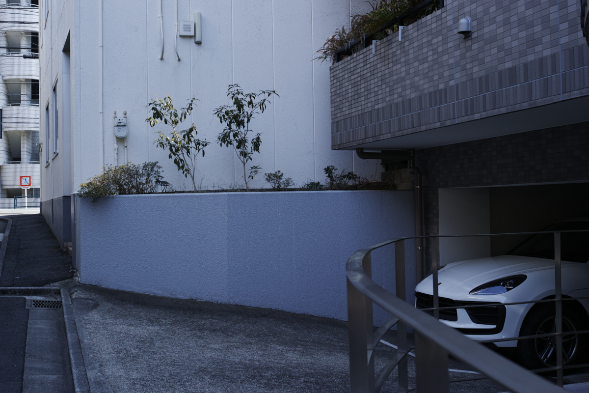 Numabukuro, Ochiai, Gokokuji_Img