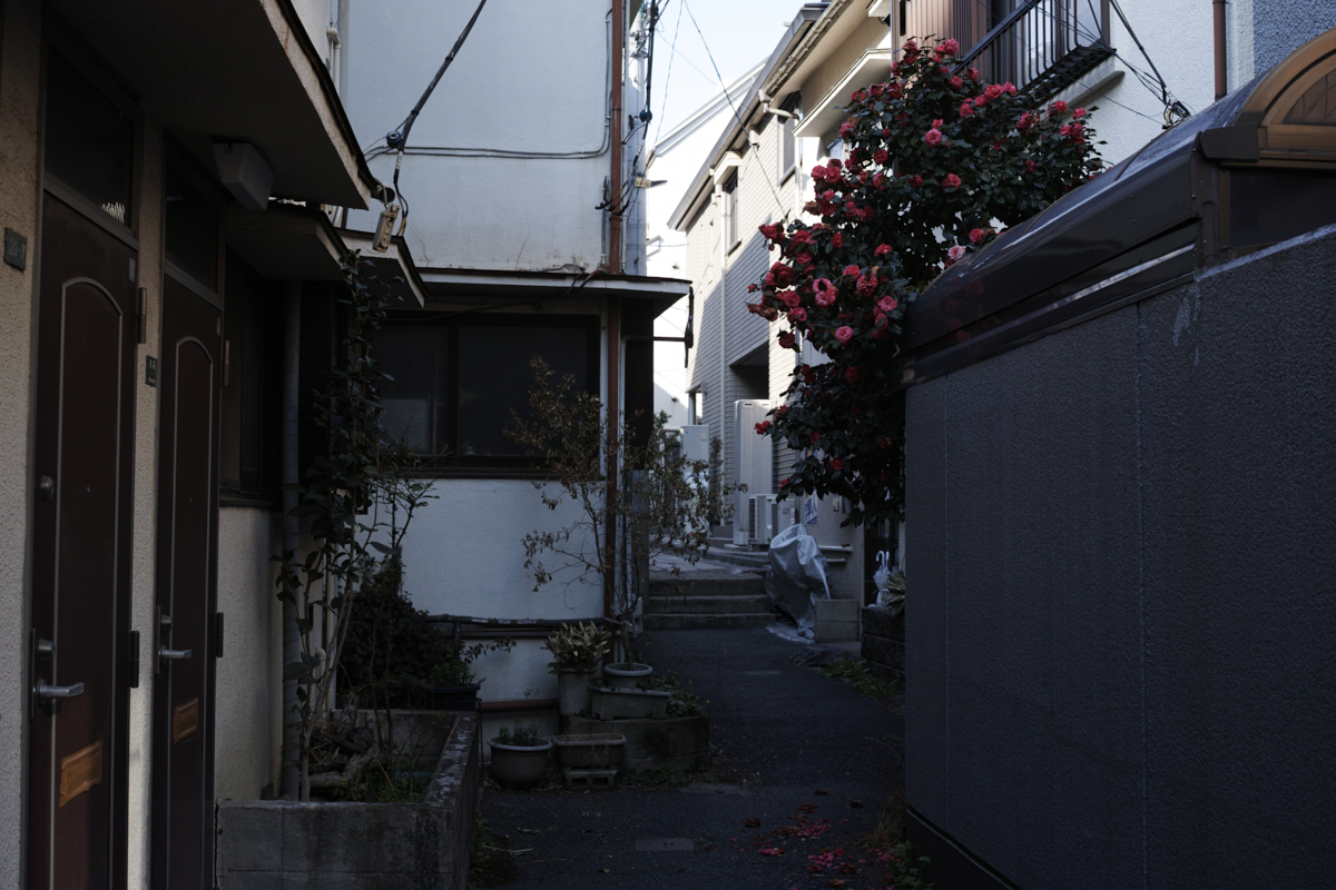 Numabukuro, Ochiai, Gokokuji_Img