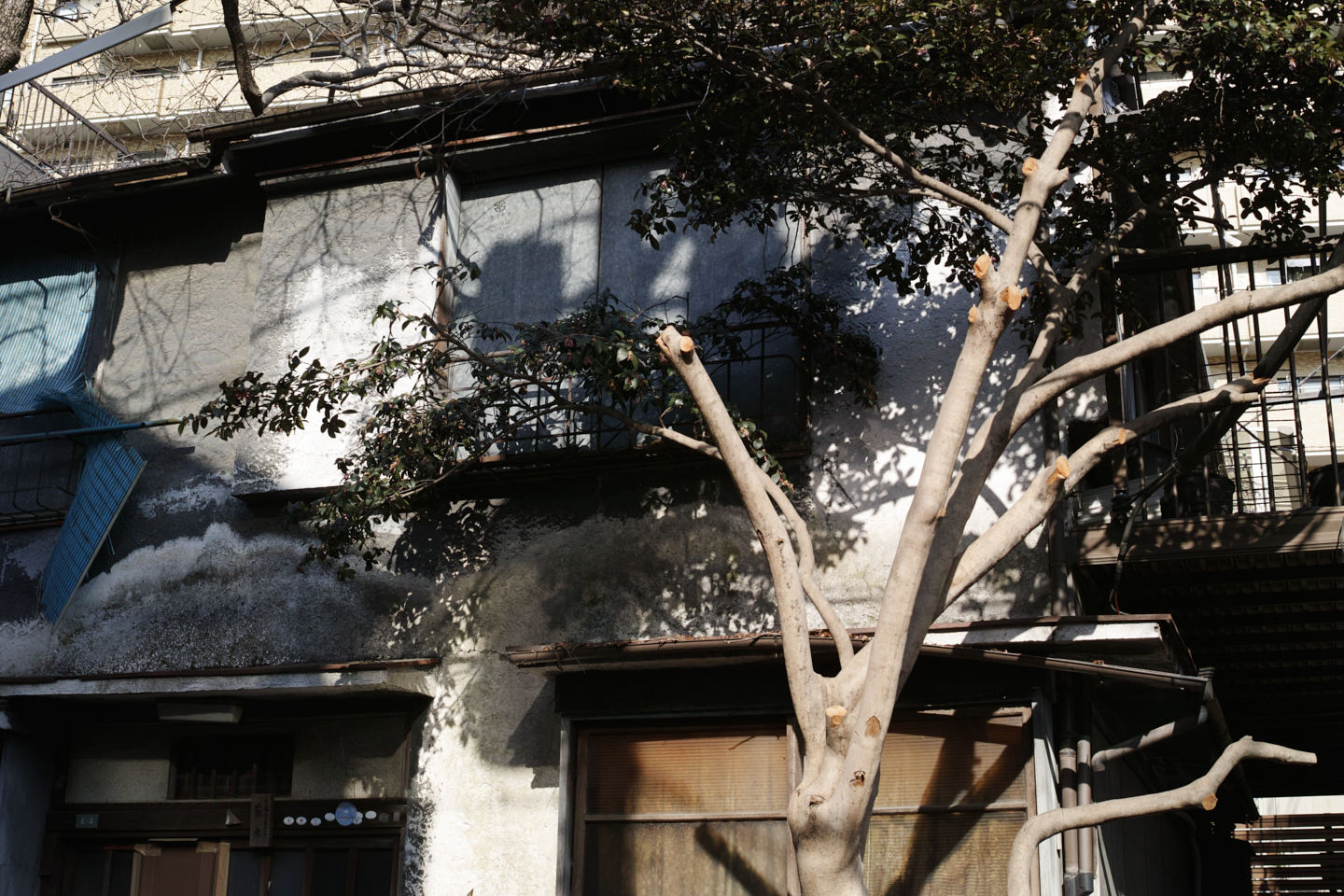Numabukuro, Ochiai, Gokokuji_Img